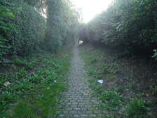 114247