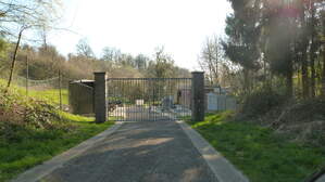 135036