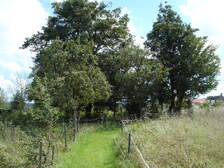 13842
