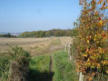 14759