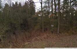 164591