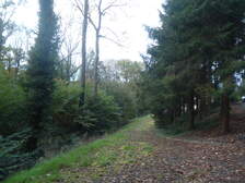 166894