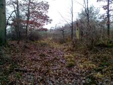 170025