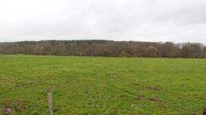 170272
