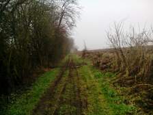 173748