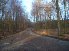 174714