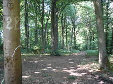 18390