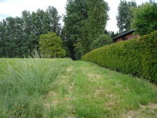 18589