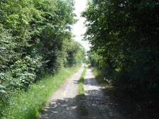 18682