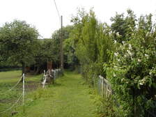 19060