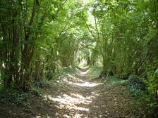 20061