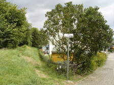 20064