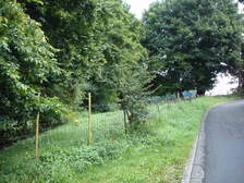 20087