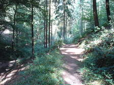 20780