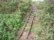 21562