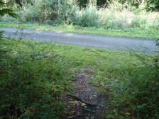222969