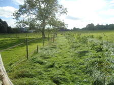 228216
