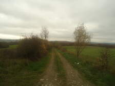233958