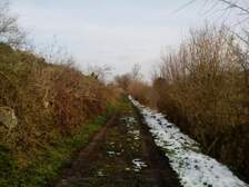 242534