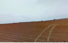244299