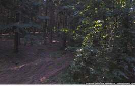 279270