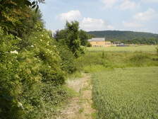 28892