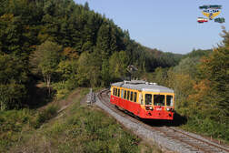 290023