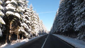293433