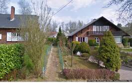 294431