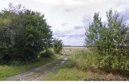 295143