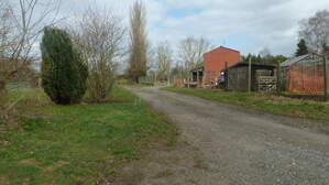 295242
