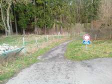 295543