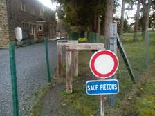 295548