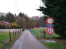296440
