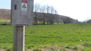 296976