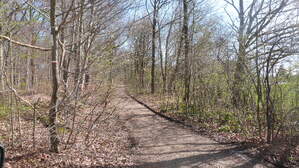 297105