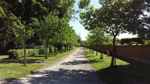299002