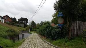 303988