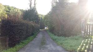 306343
