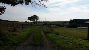 306389
