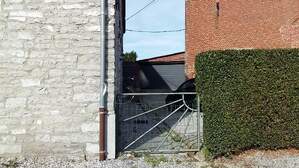 306431