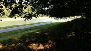 306665