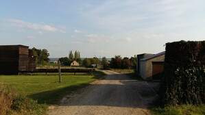 307082