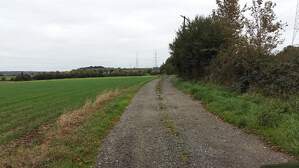 307341
