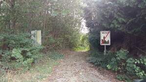 307523