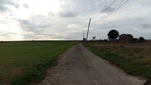 307581