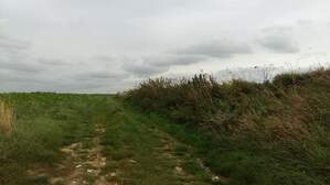 307584