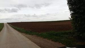 307607