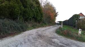 308065