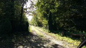308523